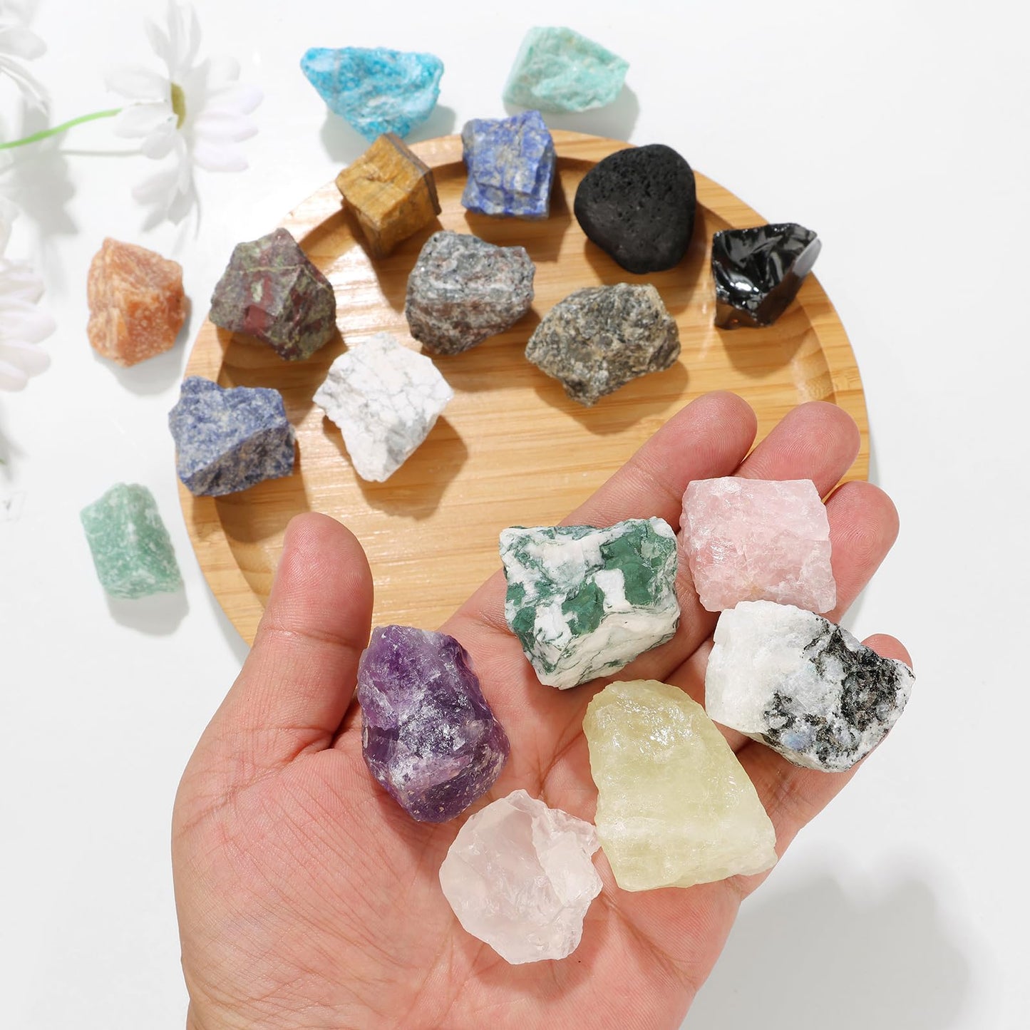GolbalJew Apatite Natural Raw Crystals 2PCS Healing Crystal Stones 1.2-2.0” Reiki Healing Gemstones for Meditation Chakra Balance Home Decor