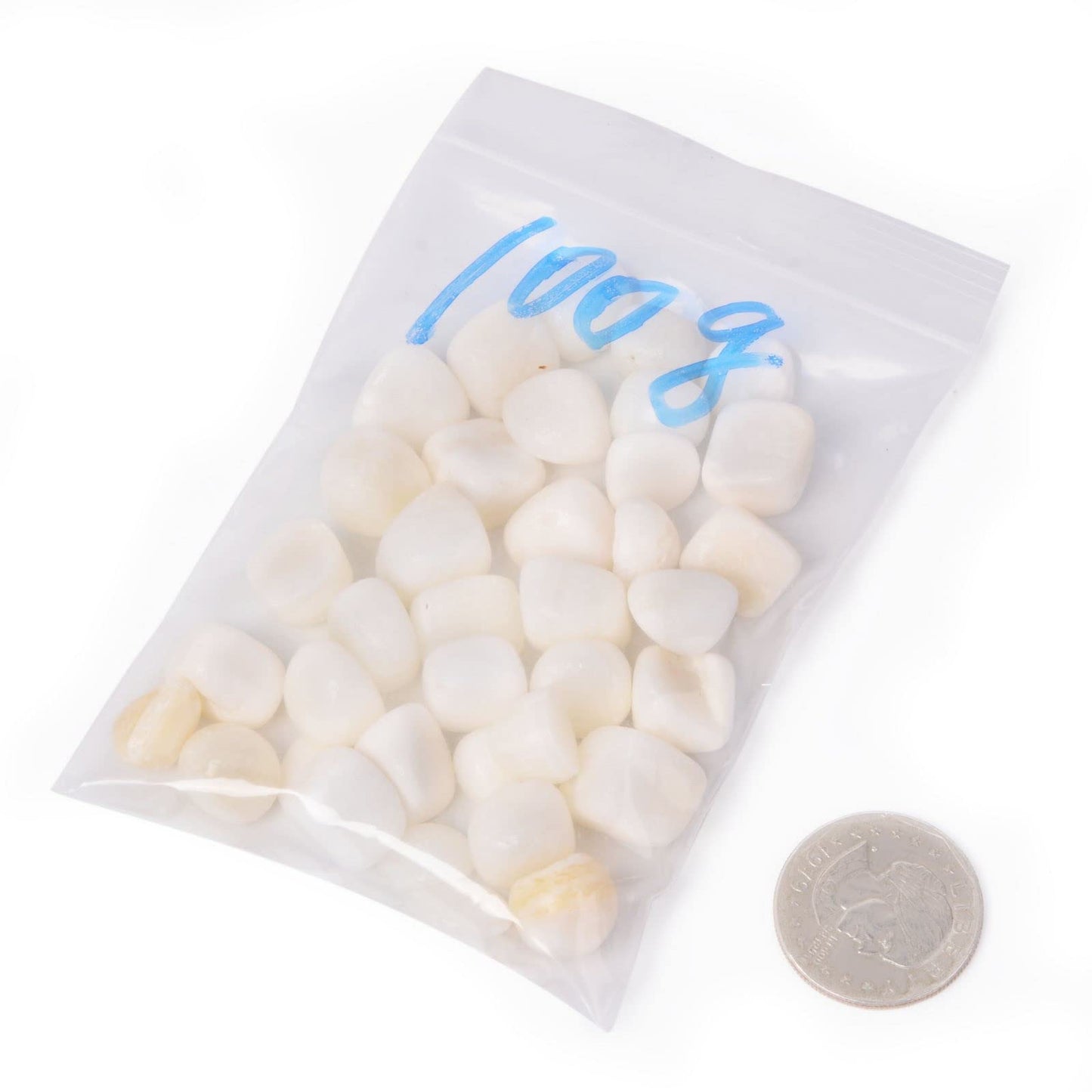 Natural Tridacna Shell Polished Chips Crushed Tumbled Stone Crystal Healing Embellishments 100 grams