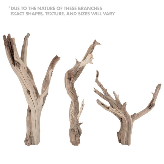 Koyal Wholesale 18” Driftwood Terrarium Decor, Clean California Manzanita Drift Wood Reptile Decor, Driftwood Decor for Home, Desert Reptile Supplies, Small or Large Driftwood Branches for Reptiles