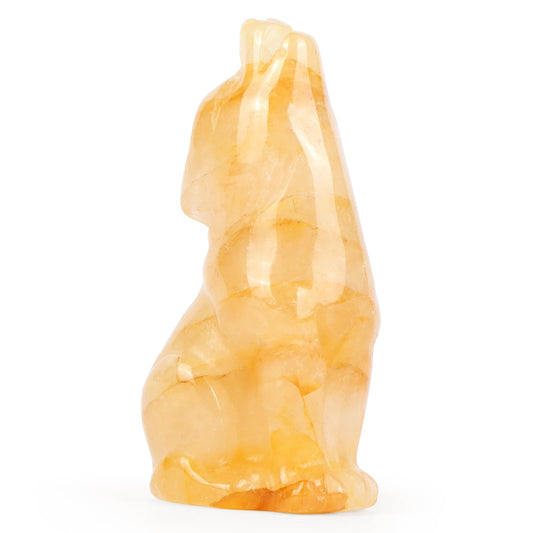 Artistone Citrine Wolf Statue, 2" Natural Crystal Howl Wolves Figurine Decor for Home Office Healing Gemstone Reiki Pocket Animal Sculpture Ornament with Gift Case for Women, Men