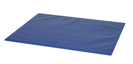 Children's Factory Primary Mat, CF362-120, Blue, Kids Indoor Playground & Baby Nursery Activity Mat, Toddler Playroom/ Classroom Soft Foam Floor Mat, 60" x 60" x 1"