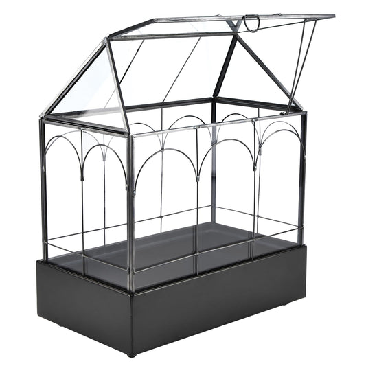 HighFree Glass Terrarium with Metal Tray, Glass Greenhouse Terrarium Kit for Succulents, Cacti, Snails, Spiders, and Miniature Reptiles, Black (Large-9.45" L x 5.7" W x 11.8" H)
