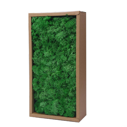 Preserved Reindeer Craft Moss-17.6oz Natural Green DIY Kit Gardenning Art Wall Florist Moss Terrariums Gardenning Decor Landscape Garden Decor(Leaf Green 17.6 OZ)