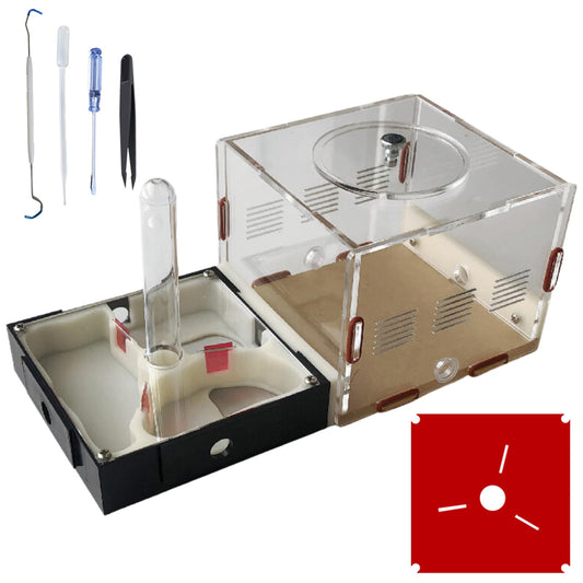 Ant Farm Nest Science DIY Terrarium Kit Care for Live Ants Ant Habitat with Water Tower Nurturing Room and Comprehensive Observation-Set 1