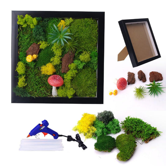 ACADOIT Moss ArtsFrame Crafts for Adults, 11" Home Office Decor Living Wall Hanging Decor