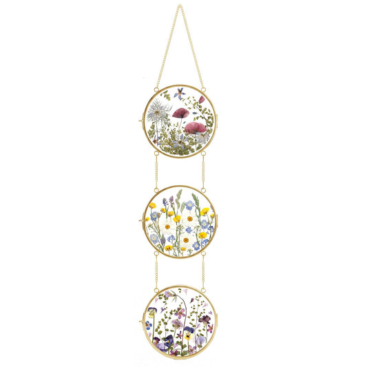 FOCHIER F Pressed Flower Frames with Tweezers,Wall Hanging Double Glass Frames with Metal Chain for Pressed Dried Flowers,Gold Picture Frame with Plants Golden Tabletop Décor, Horizontal and Vertical
