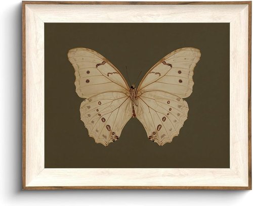 KISSFOX Vintage Butterfly Canvas Wall Art - Moody Insect Decor for Living Room, Bedroom & Bathroom