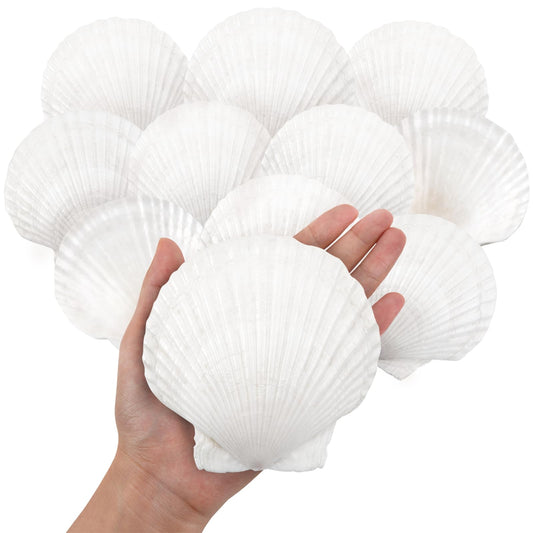 10PCS Large Natural Scallop Shells, 4''-5'' Large Shell for Crafts, DIY Painting, Baking and Beach Wedding Decorations - Large White Seashells Bulk for Ocean Themed Parties and Home Decor