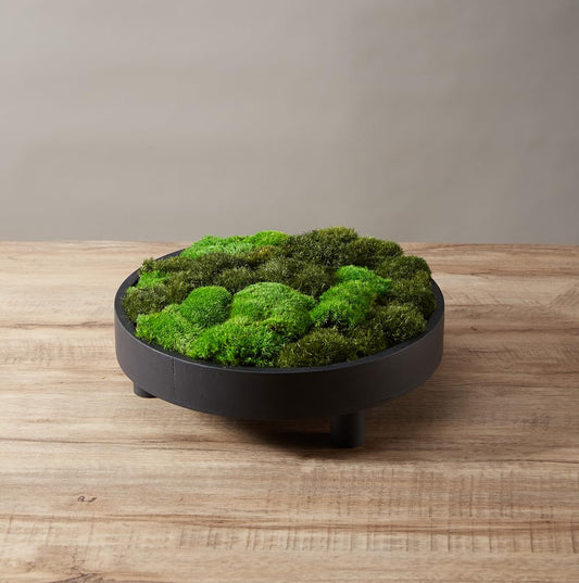 prefleur 2 Color Mix Pack Preserved Pole Moss Pillow Bun Cushion Natural Decorative Green DIY Kit Art Wall Decor Florist Decor Easter Table Decor Wedding(1.5 sq.ft, Green-A,Green-B)