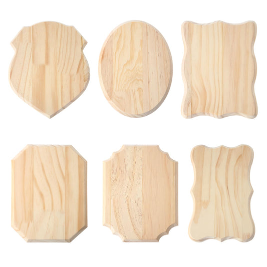 Yinkin 12 Pcs Blank Wooden Plaques for Crafts Unfinished Wood Signs for DIY Projects Hanging Signs, 6 Styles for Weddings Home Decor and Door Wall Art Activities Decoration(White)