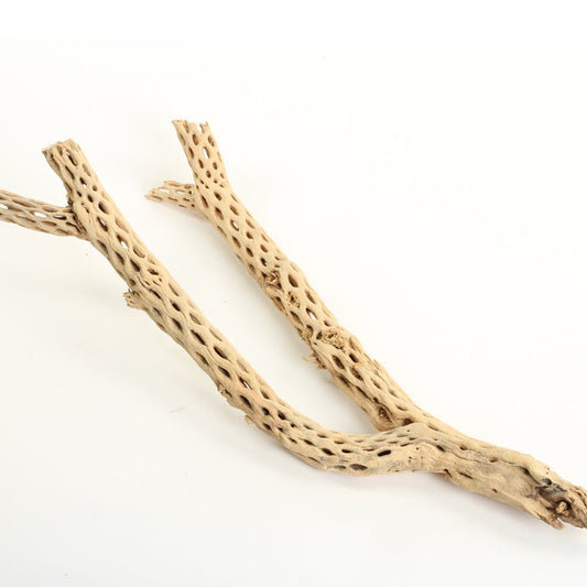 Koyal Wholesale 12” Natural Cholla Wood Branch for Aquarium, Shrimp or Betta Tank Décor – Real Desert Wood for Reptile or Terrarium Habitat, Aquarium Safe Driftwood for Fish Tank Decoration