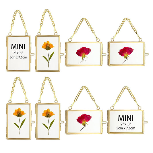JUXYES 8 Pack Mini Brass Floating Frames Ornaments With Hanging Chain - Double Glass Tiny Picture Display Frame - Gold Wallet Size Floater Style Gallery Wall Frame for Pressed Flowers, 2x3 Inches