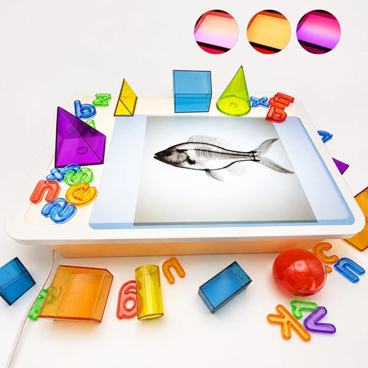16" LED Light Box for Kids, Sensory Light Table, Portable Dimmable Light Box for Tracing, Alphabet Learning, Magna-Tiles, Diamond Painting Art, Home & Classroom (Orange 10 Levels,3 Color Modes)
