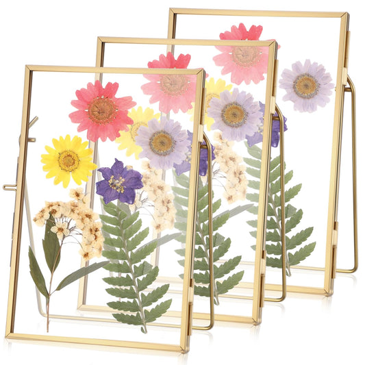 Vicenpal 3 Pack Glass Pressed Flower Frame Handmade, 4 x 6 floating Picture Frames for Pressed Flowers, Brass Double Glass for Tabletop Display, Home Office Plant Specimen, Photos(Gold)