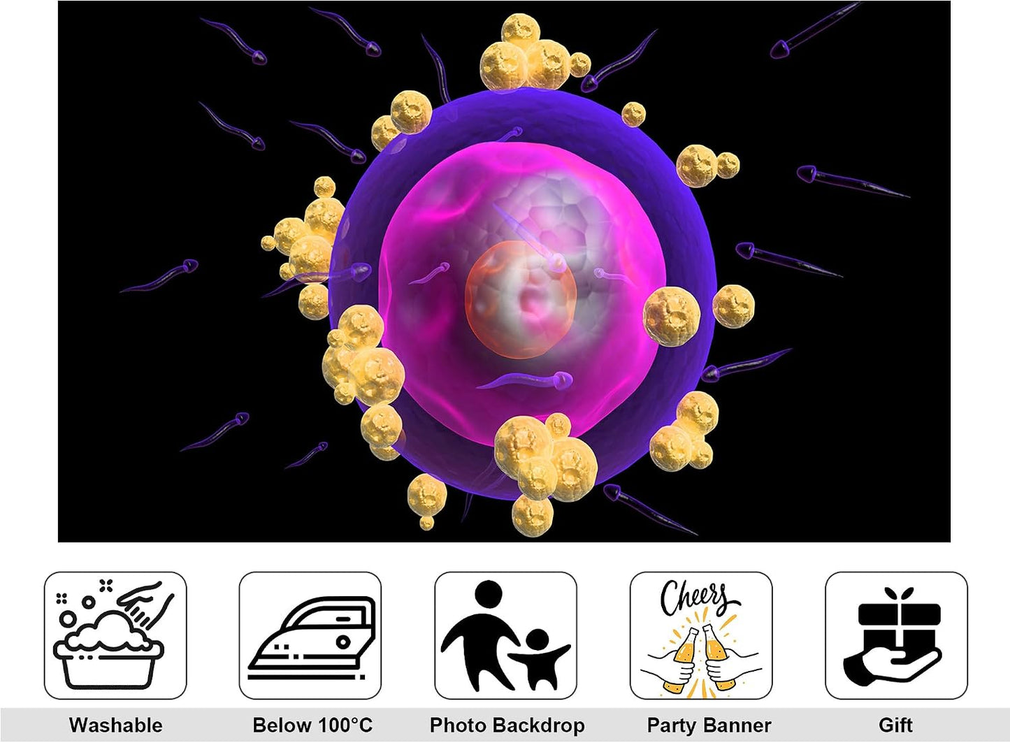 KeyWork 5x3ft Human Egg Cell Fertilization Backdrop Reproductive Science Photography Background for Health Fair