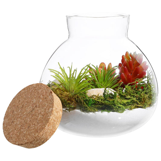 Glass Terrarium Bottle with Cork Lid, Round Jar for Micro Landscape DIY Plant Terrarium Moss Crafts Home Decor Kitchen Storage Container, 5.90X6.29X5.90 Inch