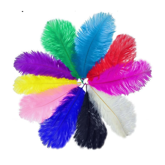 10pcs Colorful Ostrich Feathers Bulk Long 10-12inch (25-30cm) Natural Feathers For Crafts Carnival Masks Brazilian Clothing Decoration Party Wedding Diy Feathers Headwear Making (Colorful,10-12inches)
