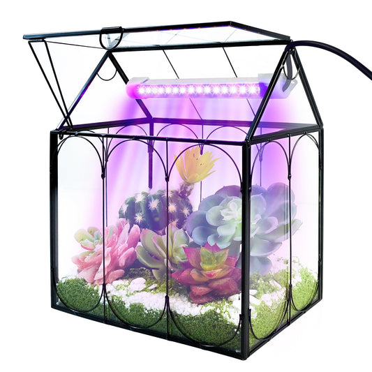Plant Terrarium Kit with Grow Light, Rifny Small Glass Terrarium Jar with Absorbent Mat and Lid for Venus Fly Trap Succulent Live Air Plants Indoor Home Office Decor (Black, 7.1 x 4.8 x 8.8 inch)