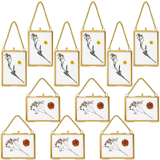 Kigley Double Glass Frame for Pressed Flowers Floating Hanging Photo Frame Gift for Graduation Mother's Day 3.5 x 2.5 in Brass Clear Decor with Chain for Display Gallery Artwork (Gold,12 Pcs)