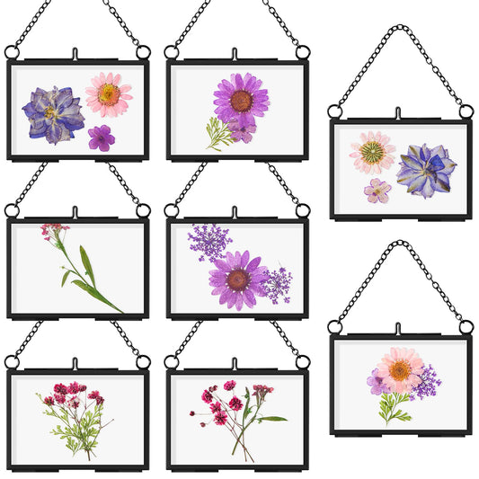 Thyle 8 Pieces Pressed Flower Frames, 3.5 x 2.5 Inch Wall Hanging Double Glass Picture Frames with Chain, Clear Floating Display for Dried Flowers Plants Wall Decor Artwork DIY Family Photo