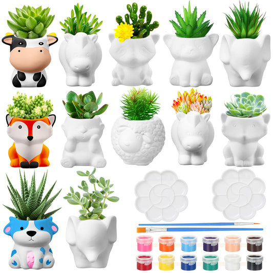 Hushee 12 Sets DIY Ceramic Succulent Pots Ready to Paint Animal Planters Unpainted Plant Flower Pots Bulk with Drainage Hole and Bisque Paint ， Adults Craft Christmas