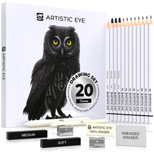 ARTISTIC EYE Premium Drawing and Sketching Pencil Art Set (20 Items): Complete Kit with Graphite Pencils, Charcoal Pencils, Sticks, Blending Stumps, Erasers, and Sharpeners