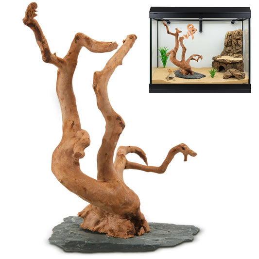 AceOrbit Large Driftwood for Aquarium, 8.5-11.5 Inch Spider Wood on Slate Stone, Natural Spiderwood Aquarium Driftwood Aquascaping Wood for Reptile Enclosure, Terrarium, Reptile Tank, Fish Tank Decor