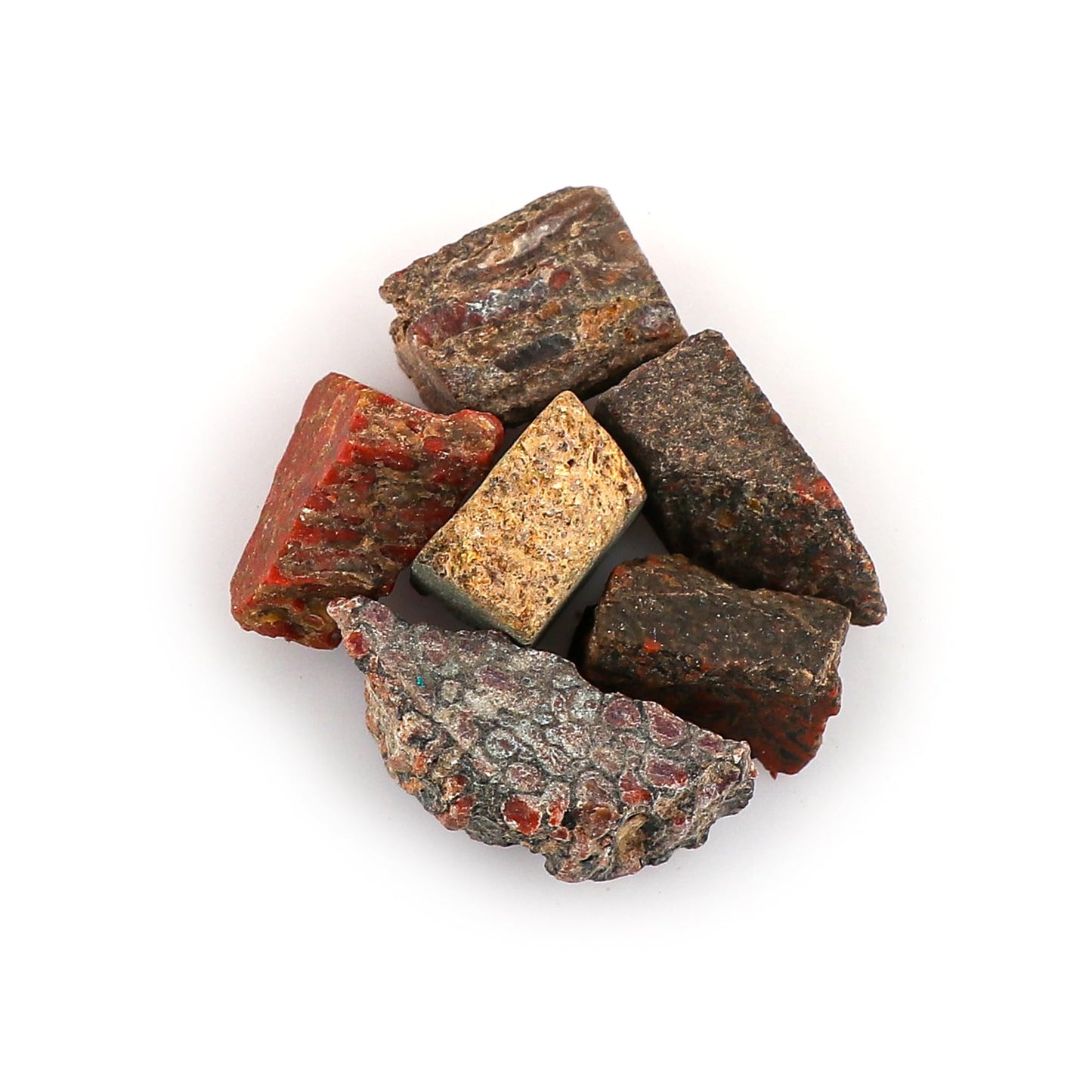 CRYSTALIS Wholesale 5pcs Natural Dinosaur Bone Raw Crystals, Loose Gemstone, Bulk Rough Jewelry Making Supply, Chakra Healing Raw Stones, Wire Wrapping, DIY, Gem Collection, Size : 8-12mm