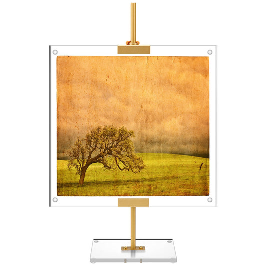 RattanView Adjustable Metal Easel Stand with Acrylic Floating Photo Frame 16.5" Tabletop Metal Standing Easel Display Stand for Display Picture, Frame, Photos, Art, Poster, Signs(Gold,Acrylic Base)