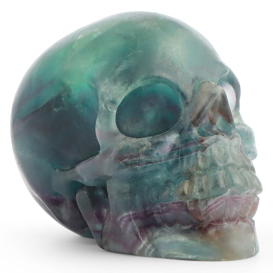 LEADGEM Crystal Skull Head Statue Hand Carved 3.0" Rainbow Fluorite Polished Gemstone Skull Stone Figurine Crafts Ornament for Home Office Halloween Decor