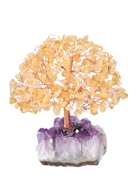 Jovivi Natural Citrine Healing Crystal Money Tree on Amethyst Cluster Geode Druzy Base Feng Shui Crystals for Home Office Desk Decorations, Wealth, Good Luck
