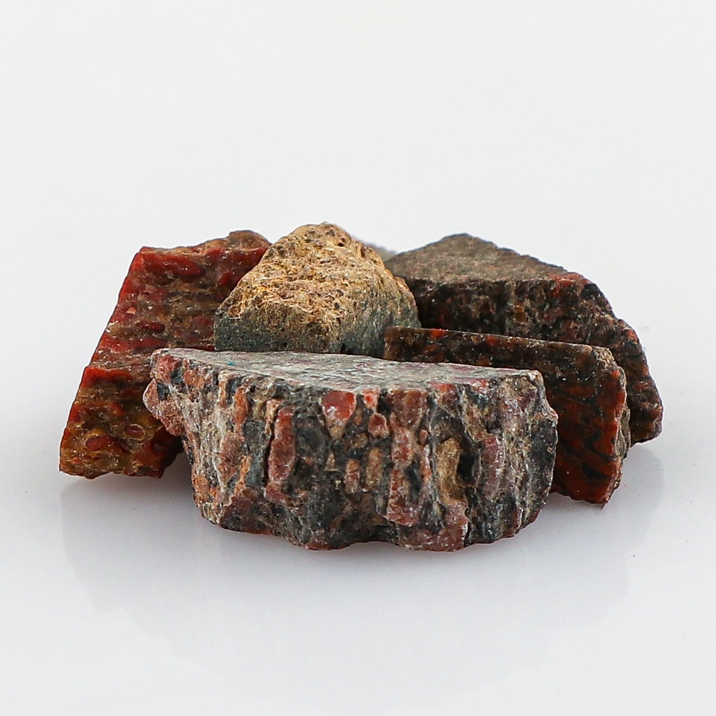 CRYSTALIS Wholesale 5pcs Natural Dinosaur Bone Raw Crystals, Loose Gemstone, Bulk Rough Jewelry Making Supply, Chakra Healing Raw Stones, Wire Wrapping, DIY, Gem Collection, Size : 8-12mm