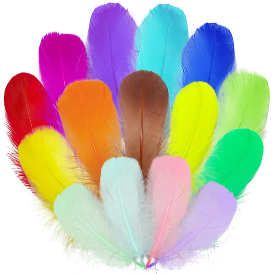 1500PCS Colorful Craft Goose Feathers in 15 Colors Individually, 3-5inch Colored Natural Feathers for Crafting Kindergarten DIY Crafts, Art Projects, Wedding, Family Party Decorations, Dream Catcher