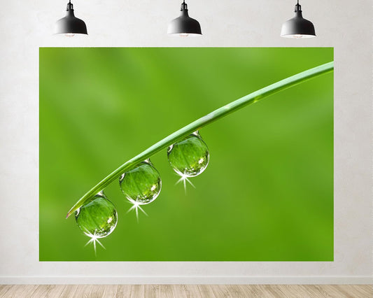 TryKid 5x5ft Green Dewdrop Grass Backdrop Sparkling Water Drop Blade Photography Background Fresh Spring Nature Event