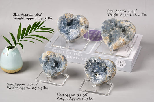 AMOYSTONE Heart Celestite Crystals Natural Healing Crystal Blue Geode Raw Celestite Clusters Large Crystal Stone for Reiki, Gifts, Decor with Plastic Stand 3.6"-4"