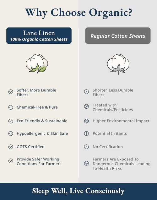 LANE LINEN Queen Size Sheet Set - 100% Organic Cotton, Breathable Percale Weave, Deep Pocket - Lilac