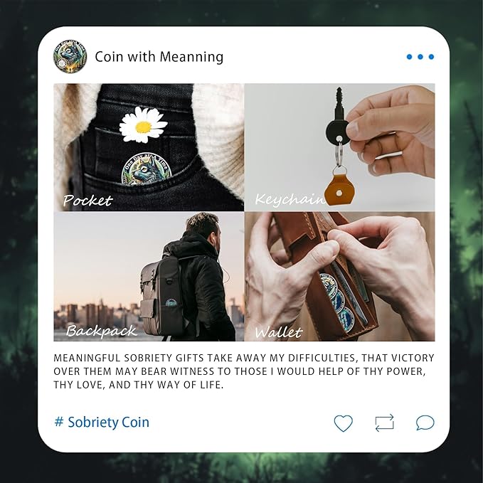 One Day at a Time 3 Year Sobriety Coin - Recovery Aurora Forest Wolf AA Coins - Addiction NA AA Chips and Medallions - Celebrate 1-20 Living Clean Narcotics Alcoholics Anonymous Gifts for Men Women
