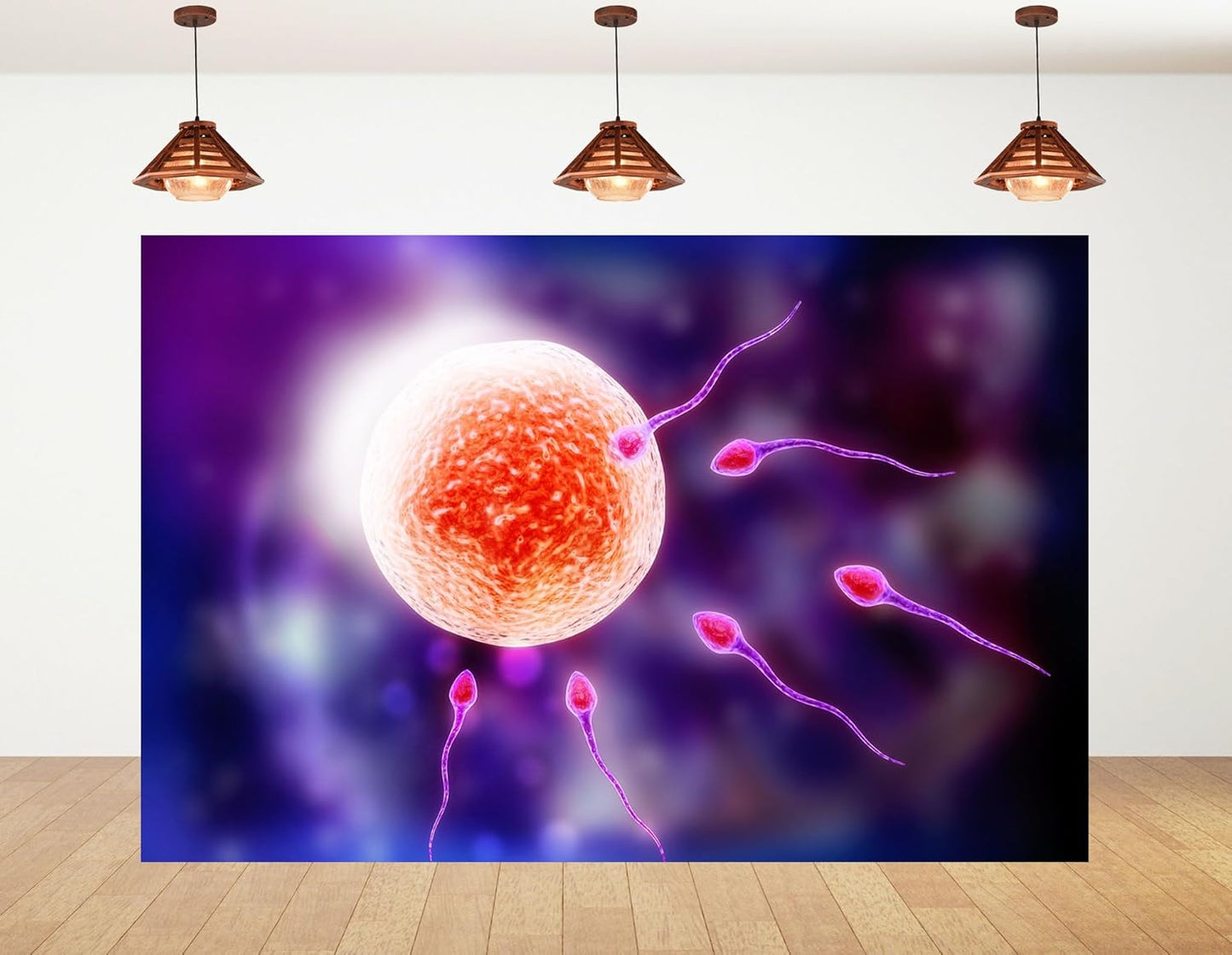 KeyWork 7x7ft Human Fertilization Illustration Backdrop Reproductive Science Photography Background for Health Fair