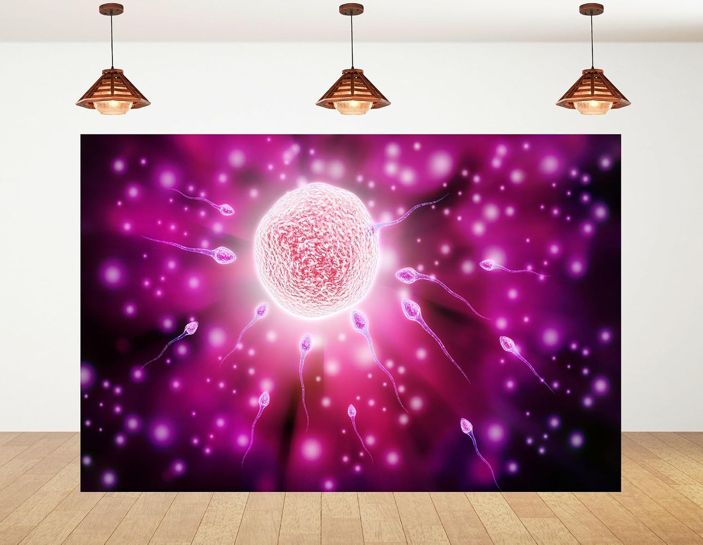 KeyWork 7x7ft Fertilization Science Illustration Backdrop Reproductive Biology Photography Background for Health Fair