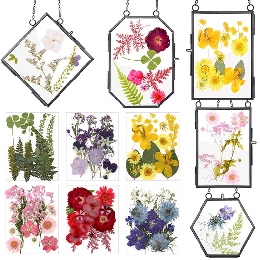 Bucherry 5 Pcs Glass Frame for DIY Pressed Flowers Art Brass Hanging Photo Picture Frame with Chain and 6 Styles Pressed Flowers Collage Glass Craft Frames for Wall Decor Display Gallery (Black)