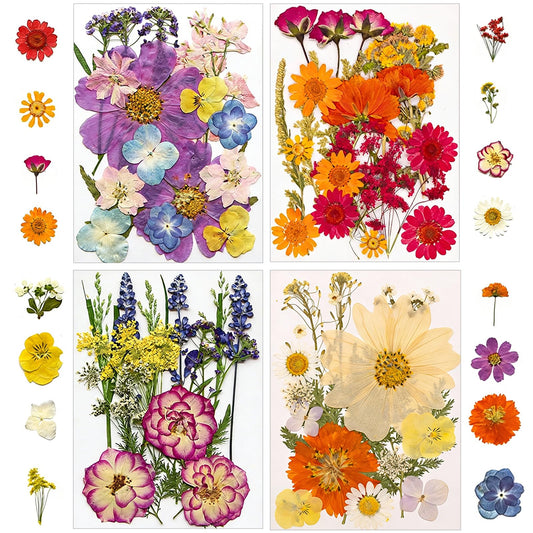 173 pcs Dried Flowers for Resin, Natural Flowers and Leaves Kit with Butterfly Stickers， Vacuum Sealed DIY Pressed Flowers for Jewelry Molds, Candle Soap Making, Scrapbook, Nail Art (Colorful-G)