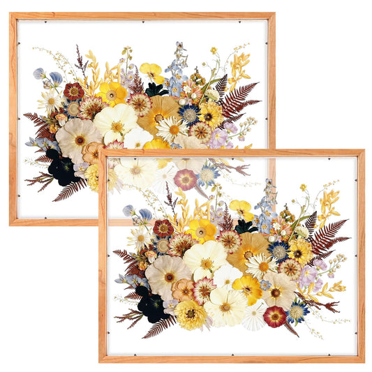 Leinuosen 2 Pcs Floating Picture Frames 16x20 Double Glass Pressed Flower Wooden Frames Wall Tabletop Display Photo Gift for Home Office Plant Specimen Embossed Designs