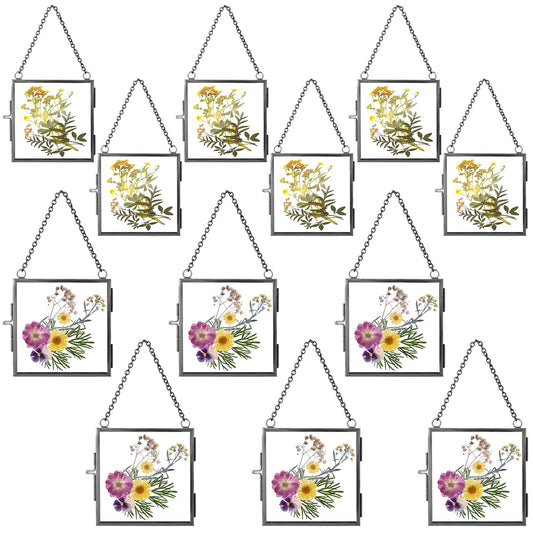 Kigley 12 Pcs Double Glass Pressed Flower Frame with Chain Bulk Vintage Floating Hanging Glass Flower Photo Frame Craft 2.4" and 3.2" Rustic Small Ornament for Handicraft Decor Gallery Artwork(Black)