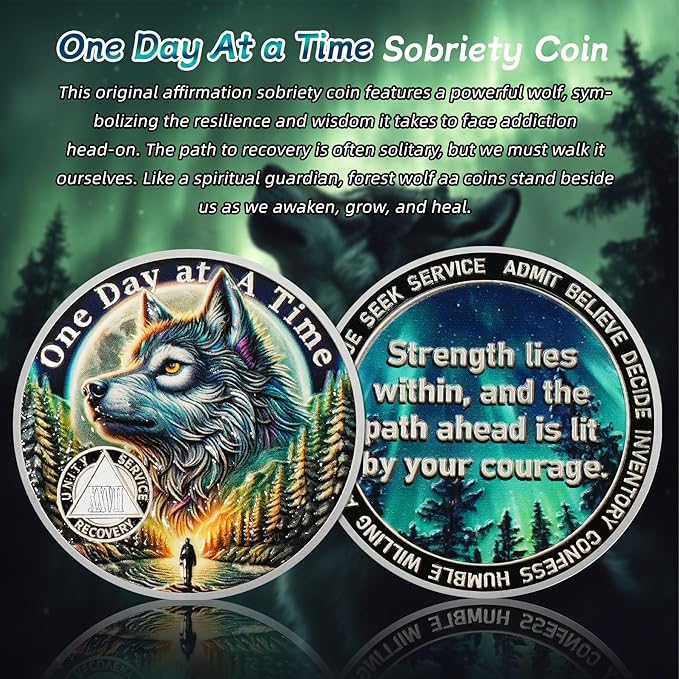 One Day at a Time 27 Year Sobriety Coin - Recovery Aurora Forest Wolf AA Coins - Addiction NA AA Chips and Medallions - Celebrate 1-30 Living Clean Narcotics Alcoholics Anonymous Gifts for Men Women