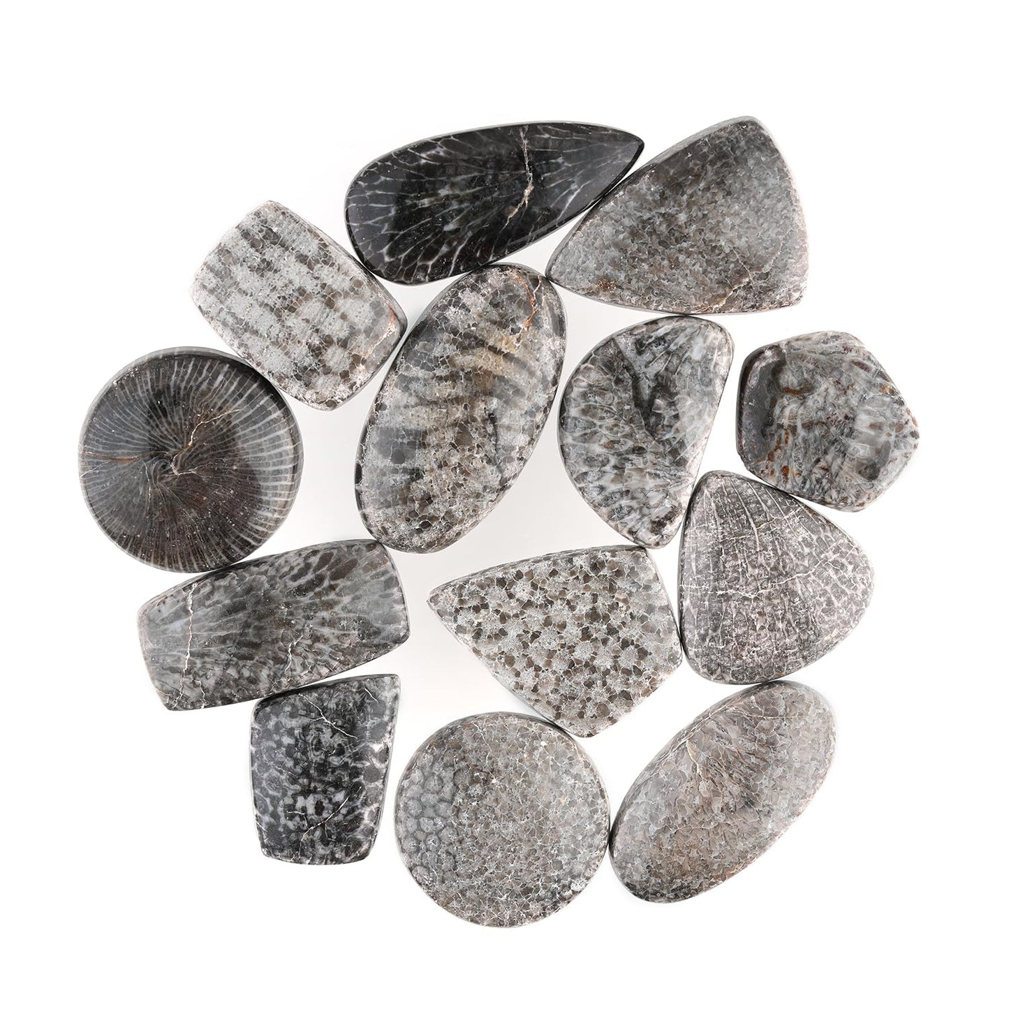 GemSymphony Natural Black Fossil Coral Gemstone Cabochon Pack of 3 Mixed Shapes – Polished Crystal Stones for Jewelry Making Supply, Healing, Reiki & DIY Crafts, Natural Gem Cab Set for Wire Wrapping (10-20 mm)