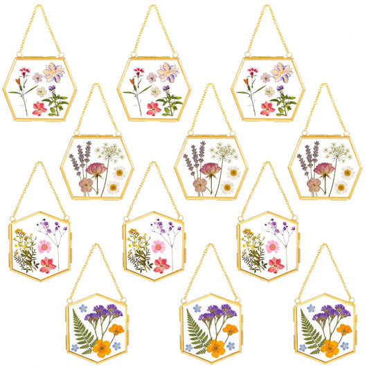 Wenqik 12 Pcs Double Glass Frame for Pressed Flower 3.7" x 3.2" Handmade Hanging Picture Frames Clear Vertical Frames with Chain for Gallery Vintage Artwork Display Graduation Wedding Favors(Gold)