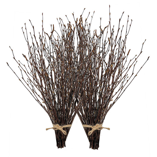 17 Inch Natural Birch Branches Dried Birch Twigs Wreath Making Supplies Dried Plants for Rustic Home Decor Easter Stems Vase Filler DIY Crafts Vases Tall Wreath Christmas Decoration Wedding (100Pcs)