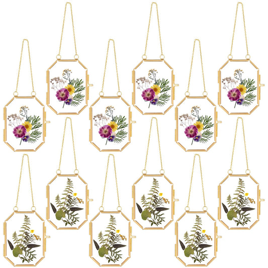 Wenqik 12 Pcs Bulk Pressed Flower Frame Octagon Dried Flowers Double Glass Floating Frame Picture with Chain Vintage Decor for DIY Photo Dried Plant Specimen Display, 3.5 x 2.5 Inch, Gold