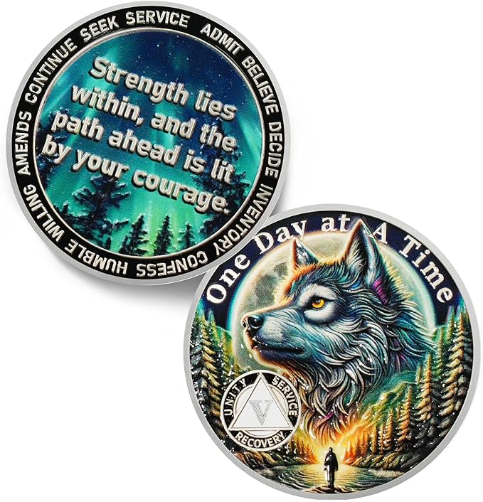 One Day at a Time 5 Year Sobriety Coin - Recovery Aurora Forest Wolf AA Coins - Addiction NA AA Chips and Medallions - Celebrate 1-20 Living Clean Narcotics Alcoholics Anonymous Gifts for Men Women