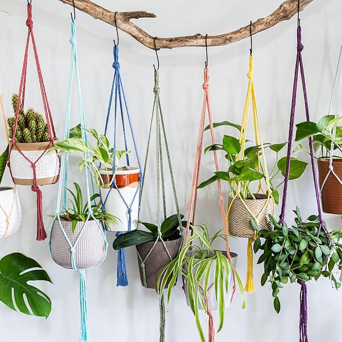 MECCANIXITY 1/16 Inch Polypropylene Rope Braided Ropes, 328ft Nylon Rope Hollow Utility Cord for Clothesline, Camping, Hiking, Outdoor, Light Purple Red